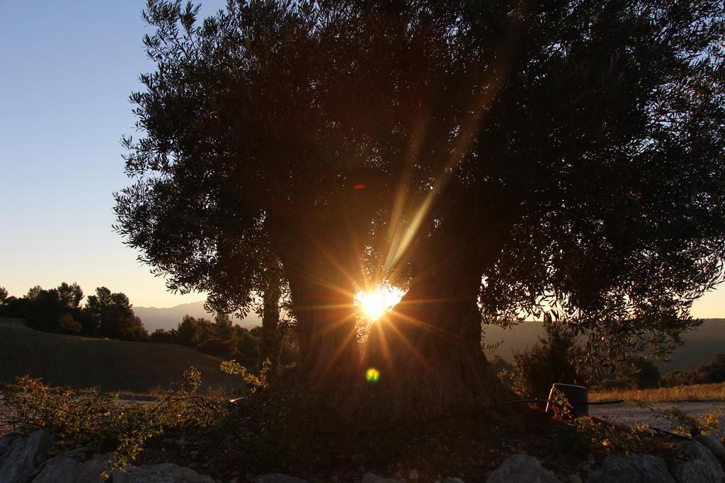 فندق La Campagne De Petre Entrevennes المظهر الخارجي الصورة